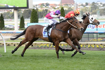 LE BONSIR WINS FIRST UP AT MOONEE VALLEY..